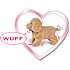 Chi Chi Salto Puppy bamse