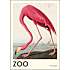 The Zoo Collection, Flamingo - 70x100 cm