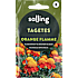 Salling tagetes, Orange Flamme, Tagetes Patula Nana