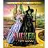 Wicked For Good