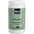 Salvie