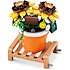 Max Build have planter - solsikker