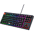 5060 stingray TKL gaming keyboard