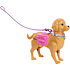 Barbie hundetur og træning
