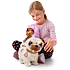 Pets Alive Dansende Pug