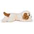 FAO Schwarz Cavachon bamse 55 cm