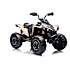 Can Am Renegade ATV - Beige
