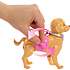 Barbie hundetur og træning