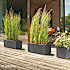 Millennium krukke 79x39x39 cm - antracit