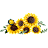 LEGO Botanicals Solsikkebuket 11502