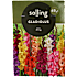 Salling blomsterløg Gladiolus Mix