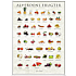 Alverdens frugter - 50x70 cm