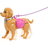 Barbie hundetur og træning