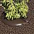 HORTUS vandingspose rund PVC