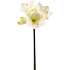 Kunstig blomst Amaryllis 62 cm - hvid/grøn