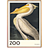 The Zoo Collection Pelican - 50x70 cm