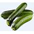 Økologisk squash, 11 cm potte