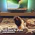 Philips 2.0 Soundbar tab5109