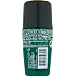 Day Control 24H Natural Protection roll-on deodorant
