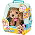 Little Live Pets Really Real Puppy Cavoodlen Curley