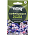 Salling kornblomst farverig blanding, Centaurea Cyanus
