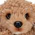 Little Live Pets Really Real Puppy Cavoodlen Curley