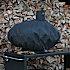 Morsø cover - Forno