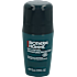 Day Control 24H Natural Protection roll-on deodorant