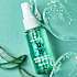 Refreshing setting spray m. alor vera