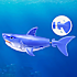 Robo Alive Shark vandaktiveret legetøj – flere varianter - assorteret