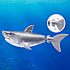 Robo Alive Shark vandaktiveret legetøj – flere varianter - assorteret