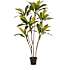 Kunstig plante - Cordyline
