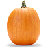 Halloweengræskar 3-7 kg