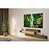 Samsung 70" UHD TV TU70U8005F (2025)