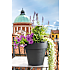 Like potte 30x27,5 cm - antracit