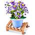 Max Bricks byggesæt blomster - flere varianter - assorteret