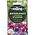 Salling ærteblomst, Lathyrus blanding, Lathyrus Odoratus