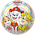 Paw Patrol bold