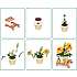 Max Build have planter - Cosmos Sulphureus