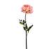 Ranunkel pink kunstig blomsterstilk