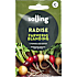Salling radise, farverig blanding, Raphanus Sativus Var. Sativus