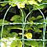 HORTUS ”Ursus” Havehegn plastbelagt 25 meter x 65 cm høj - grøn