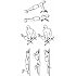 Active Sports Gear Pro pull up bar