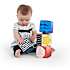 Baby Einstein soft klodser