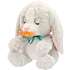 Baby Paws kanin bamse 24 cm 