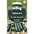 Salling squash, Black Beauty, Cucurbita Maxima Duchesne