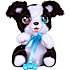 Baby Paw Mini