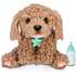 Little Live Pets Really Real Puppy Cavoodlen Curley