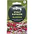 Salling stolt kavaler, blanding, Cosmos Bipinnatus