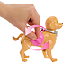 Barbie hundetur og træning